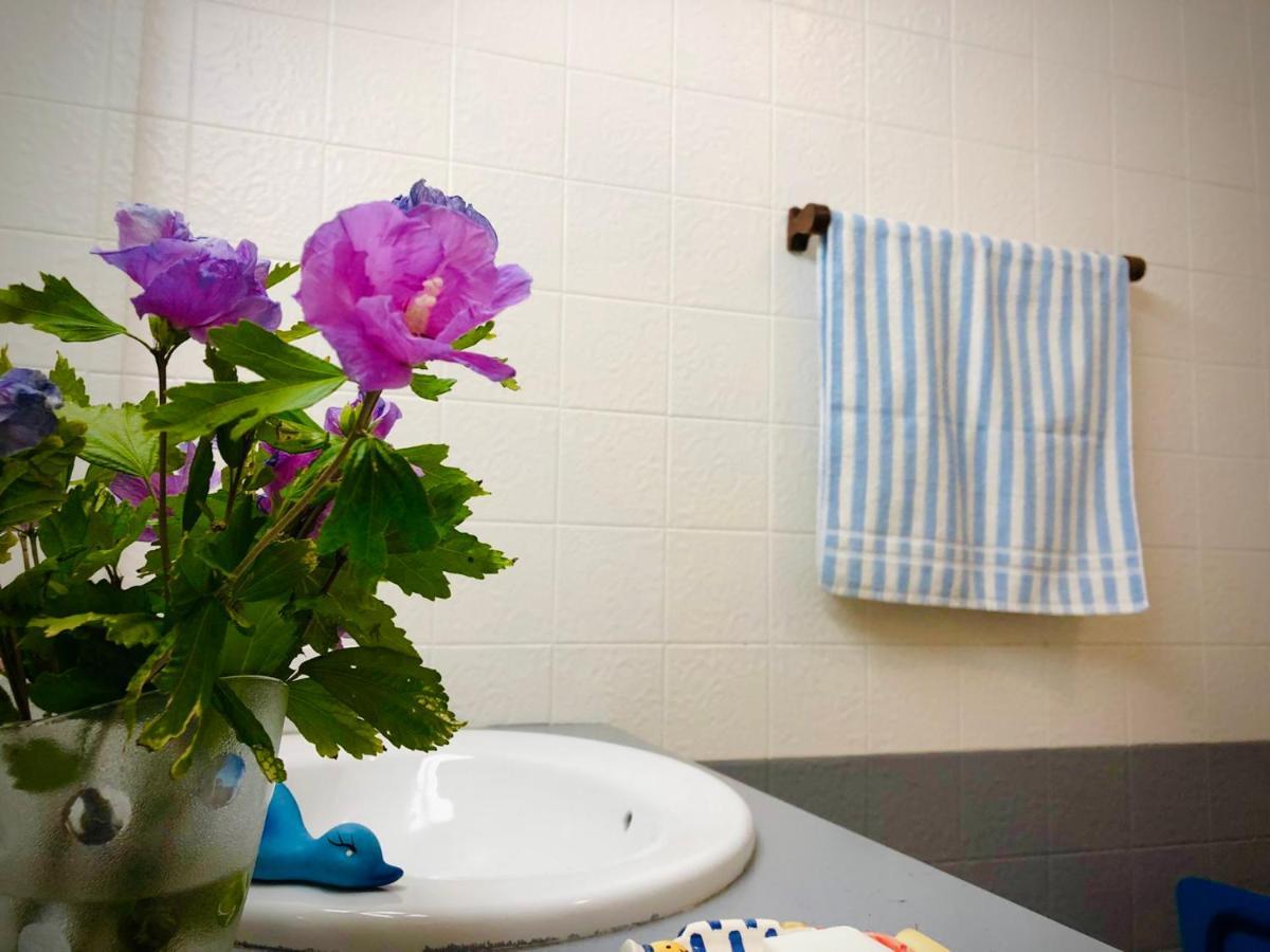 Apartament Casa Do Trevo Salir de Porto Zewnętrze zdjęcie