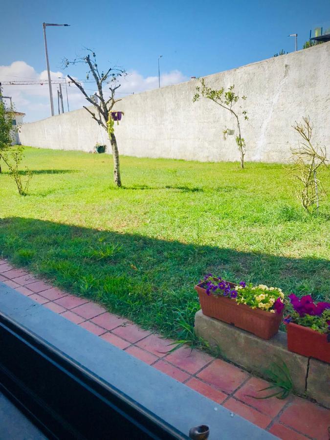 Apartament Casa Do Trevo Salir de Porto Zewnętrze zdjęcie